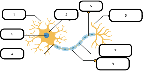 Gambar 1 struktur neutron